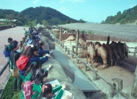 臺灣大建設時期的發展與轉折>萬獸齊FUN 臺北市立動物園為什麼搬家？>史上首次動物大搬家 保育教育觀念扎根>1