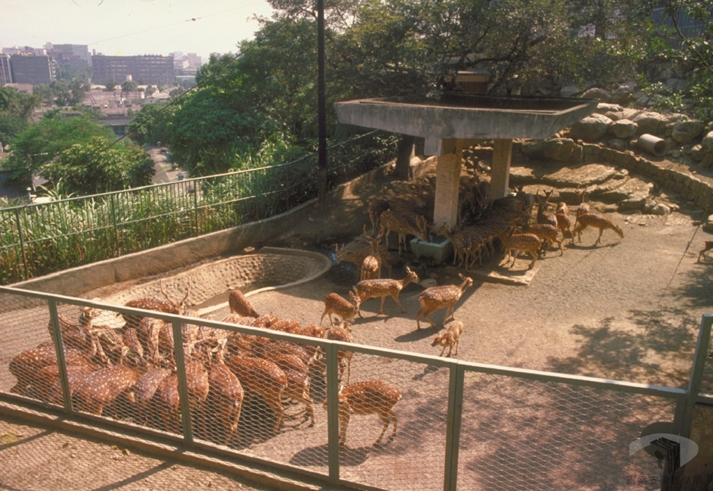臺中科學博物館、故宮博物院3