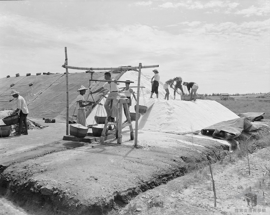 1958農復會照片2