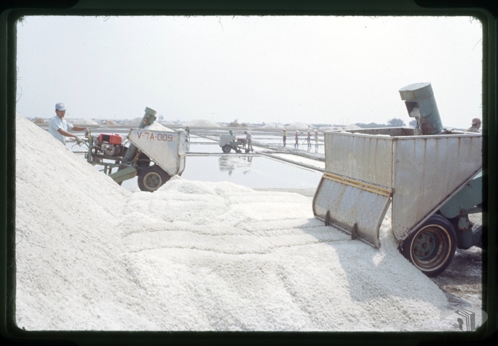 鹽田及鹽民生活、漁民海上作業、臺北電腦軟體展2
