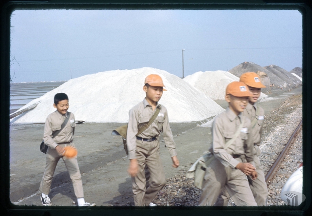 稻穀收割、布袋及七股鹽田及鹽民生活、臺中農業改良場農民日活動3