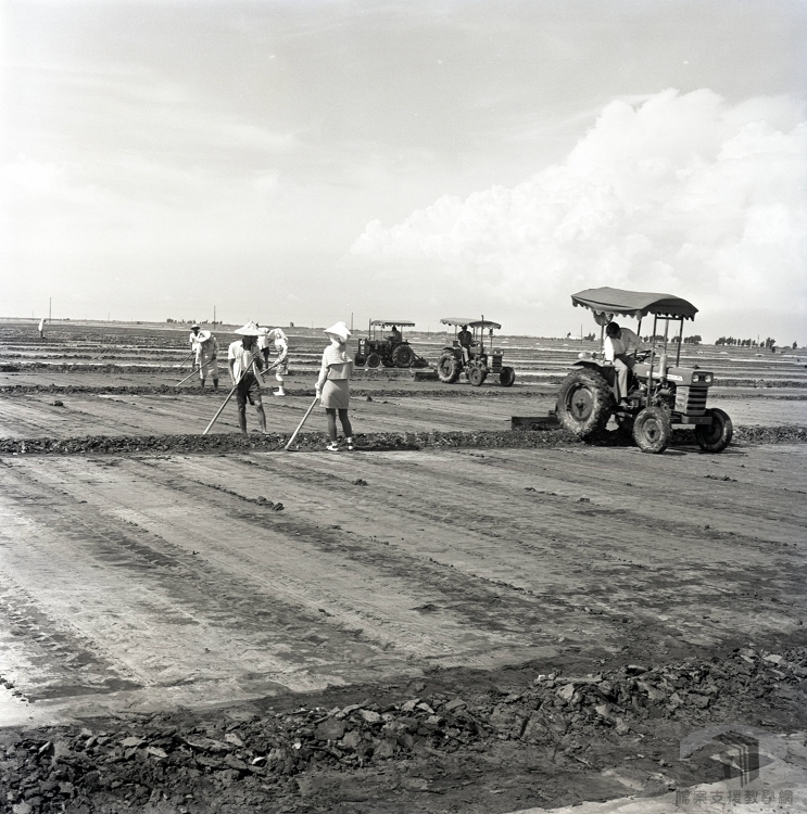 農村風光、鹽業2