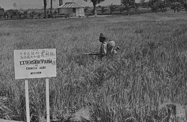 對非農技合作綜合性政策2